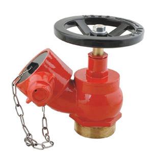 Brass Fire Landing Valve With Outlet BS336 Coupling Brass Fire Landing Valve With Outlet BS336 Coupling